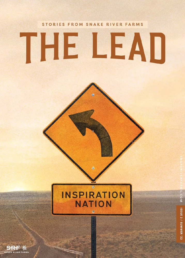 Lead-Cover_image